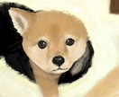 あなたのペットの似顔絵をお作りします おうちの見えるところに飾っていつでも一緒♪ イメージ5