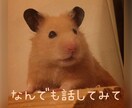 今すぐ誰かと話したい！愚痴・悩み　なんでも聴きます 知り合いには話しにくい事も、ここで気軽に話してみませんか？ イメージ1