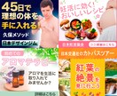 口コミで★5継続中！バナーや画像作成承ります | まずはご相談だけでも！格安でハイクオリティーなバナー制作 イメージ9