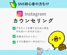初心者向け　インスタのカウンセリングします 初心者　インスタの育て方がわからない方むけ イメージ1