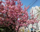 どんなお話でもなんでもききます どんな相談でもどんなお話でも構いません！ イメージ1