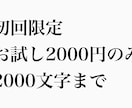 初回限定で2000文字まで記事制作いたします どんな記事になるのか不安な初回依頼の悩みを解消！ イメージ1