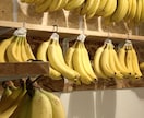 バナナジュース専門店の開業ノウハウをお伝えします あなたオリジナルのバナナジュース専門店を イメージ1