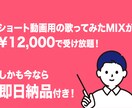 ショートMIX受け放題‼︎ 無制限MIX承ります 本気で活動するあなたに‼︎ 心強いサポートを‼︎ イメージ2