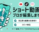 各種SNS【縦型ショート動画】編集します 最初の3秒で心を掴むプロ品質のショート動画をお届けします！ イメージ1