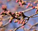 無性に誰かと話したい方　話お聴きます 日々の生活の出来事や心が晴れない時はお話してみませんか イメージ9