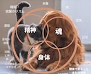 愛する家族（犬猫他）が元気になるよう遠隔施術します 遠隔オステオパシーで次元を超えて活き活きとした表情にします イメージ4