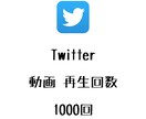 Twitter再生回数+1000回まで宣伝します ツイッターの動画再生数を増やしたい方にオススメ！ イメージ1