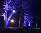 誰かと話したいとき✿秘密厳守でなんでも聞きます あまり男性っぽくない、柔らかい受け答えが特徴です(^-^) イメージ4