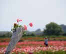 幸せを感じて頂くために出品します 大切な恋人や家族友人にプレゼントしてください、 イメージ9