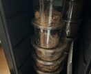 カブトムシ クワガタ管理方法を教えます カブトムシ クワガタの飼育方法を教えます。カブト クワガタム イメージ2