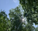 お話、愚痴　聞きます ちょっと誰かと話したい時に。お気軽に。 イメージ1