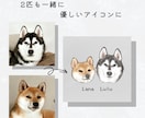 シンプルでやさしいうちの子（犬猫）アイコン描きます 実績作りのため1,000円！ペット似顔絵／アイコン イメージ2