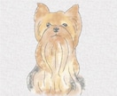 世界にひとつのうちの子似顔絵制作します 愛犬・愛猫・小動物OK、優しいタッチで大切な子をイラストに イメージ2