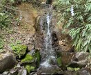 お相手のお気持ちをお伝えします 鑑定歴20年✨恋のサポート致します。 イメージ9