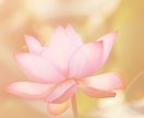 素敵な恋愛を願い☽お相手とのご縁を紐解きます 唯一無二のあなただけの宿命を読み解き善き道をご案内します イメージ8