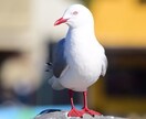 写真素材提供します 日本・海外の風景写真がメインです イメージ6