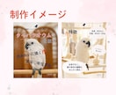2枚2000円でInstagram画像を制作します ターゲットや目的を意識した、伝わる画像を制作します イメージ5