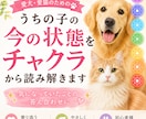 うちの子の今の状態をチャクラから読み解きます 気になっていたモヤモヤの答え合わせに イメージ1