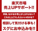 楽天市場の売上増加の相談をお聞きいたします 社外に相談する事で気付ける事って案外多いんです！ イメージ1