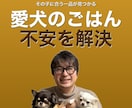 犬の食事やフードの不安を一緒に整理します 今のごはんが合っているか 迷っている方へ イメージ1