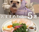 現役看護師が伝わるインスタ投稿画像作成します シンプルで伝わりやすい画像を制作しあなたの想いを届けます！ イメージ5