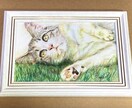 動物イラスト描きます 油絵や色鉛筆などを使って手元に残せる作品をお届けします イメージ1