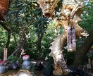 心が苦しい方、人生相談承ります 髙波動な愛の力をあなたに・・・ イメージ4