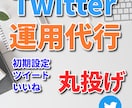 実績多数！Twitter運用代行1ヶ月間します ジャンル問わずビジネス系アカウントのツイッター運用代行します イメージ1