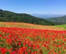 運動不足解消❗️自宅で毎日10分の体操応援します まずは7日間!一緒にトライ♪習慣化を目指しましょ✨ イメージ6