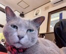 色んな写真、画像承ります 撮影でも代行でも今まで撮った写真でも何でも提供！ イメージ10