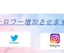 ツイッターのフォロワー・いいね等を増やします フォロワーやいいね等を最低1000人から増やします！ イメージ1