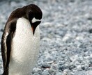 あなたの人生から不安を消すたった1つの方法教えます もう不安と隣り合わせの窮屈で、息苦しい生き方は捨てましょう。 イメージ1