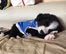 お話しお聞きします 周りの人間関係では話せない事や話し相手が欲しい方向け イメージ1