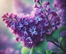 リピーター様専用♡ 鑑定の続き・追加相談承ります 前回の鑑定を踏まえた追加のご相談に、1時間集中でお応えします イメージ8