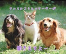 ペットの飼い方のお悩み聞きます ペットのわからないこと、元動物病院看護師が答えますよ！！ イメージ1