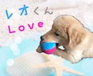 素敵な思い出を可愛い画像にします 可愛い画像にしてお渡し致します^ ^ イメージ1