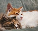 貴方のお話し、お聞きします とにかく話しを聞いてほしい！という方へ イメージ1
