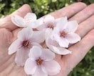 うつ病経験者のオカンが四柱推命で鑑定します 苦しい原因は何？？四柱推命で自分らしさを取り戻そう/複数人用 イメージ1