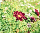 写真をきれいにレタッチして綺麗にします インスタ映えする写真を低価格で イメージ3