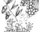 お洒落な手描き風のイラストを描きます 挿絵などに使用できそうなイラストを幅広く描きます。 イメージ2