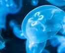 現役医学部塾講師が受験生物教えます 暗記ではなくストーリーで身につける生物 イメージ1