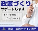 政策づくりサポートします 選挙戦で訴える政策や理念づくりお手伝い イメージ1
