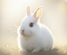 わんちゃん、ねこちゃんの本当の声をお届けします ペットちゃんの魂を読み解き普段聞けない声をお届けします。 イメージ9