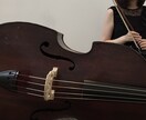 初心者ok！コントラバスのレッスンをします 音大卒現役奏者、講師歴10年！オケや吹奏楽、基礎練も見ます！ イメージ1