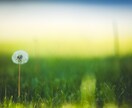 リアルタイムで20分、生命エネルギーをお送りします ヒーリングで体と心を癒し、健やかで穏やかな状態に導きます イメージ2