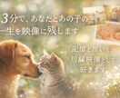 3分で、あなたとあの子の一生を映像に残します 記憶と想いを、短編映像として紡ぎます イメージ1