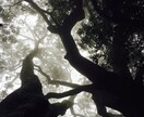 大好きな彼からの返信が来ない理由を霊視します 既読スルーの彼の本音と返信を待つ不安に寄り添います イメージ9