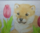 主に、動物とお花のイラストを色鉛筆で描いています ご自身用・贈り物などにどうぞ♪ふんわりしたタッチで描きます。 イメージ8