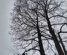 気持ちのリセットをして頂く事を目的とします 老若男女関わらず、人と話すことが好きです！ イメージ3